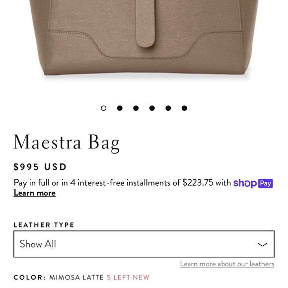❌SOLD❌ Brand new Senreve Maestra Bag in Latte - Picture 6 of 8